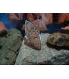 Bague argent massif et Rouge de Porto