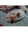 Boucles d'oreille or 18 carats et Corail Rouge de Méditerranée