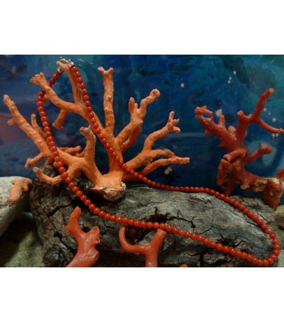 Collier (45 cm) or 18 carats et corail rouge de Méditerranée