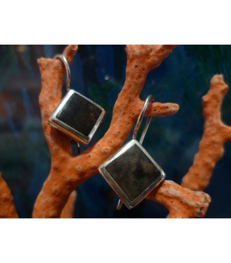 Boucles d'oreille agent massif et Rhyolite de l'Argentella