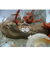 Pendentif corail rouge, oeil de Sainte Lucie et argent massif