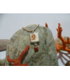 Pendentif argent massif corail rouge et oeil de Sainte Lucie