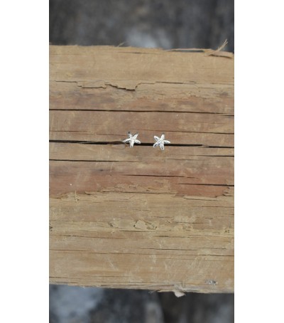 Boucles d'oreille argent massif