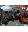 Pendentif argent massif et corail rouge