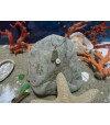Pendentif argent massif oeil de Sainte Lucie et verre de plage